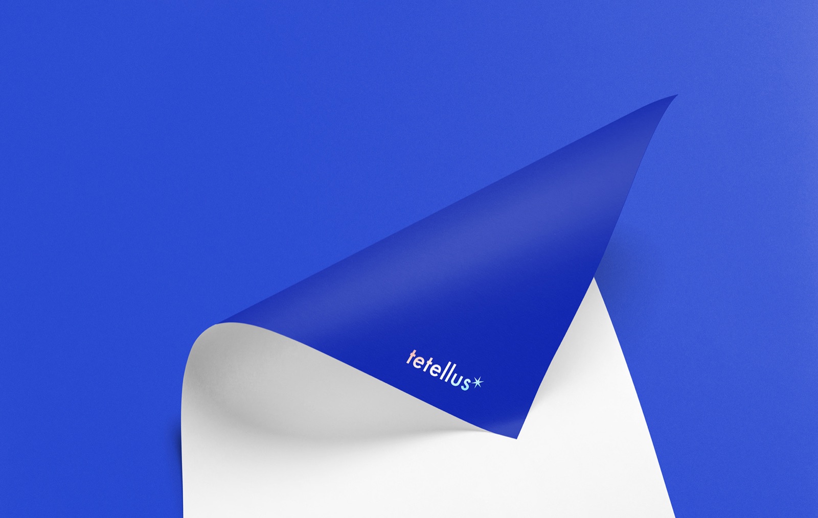 Tetellus 谛造品牌设计