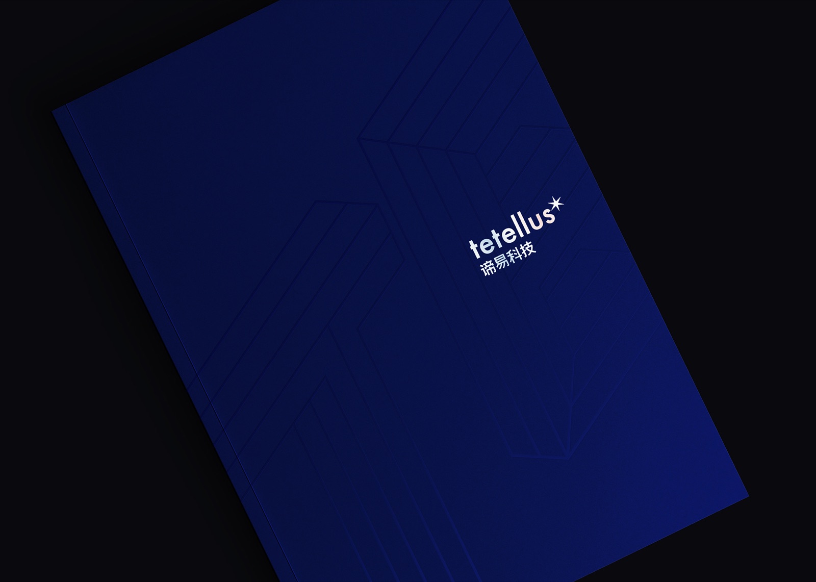 Tetellus 谛造品牌设计