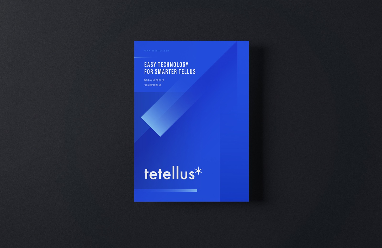Tetellus 谛造品牌设计